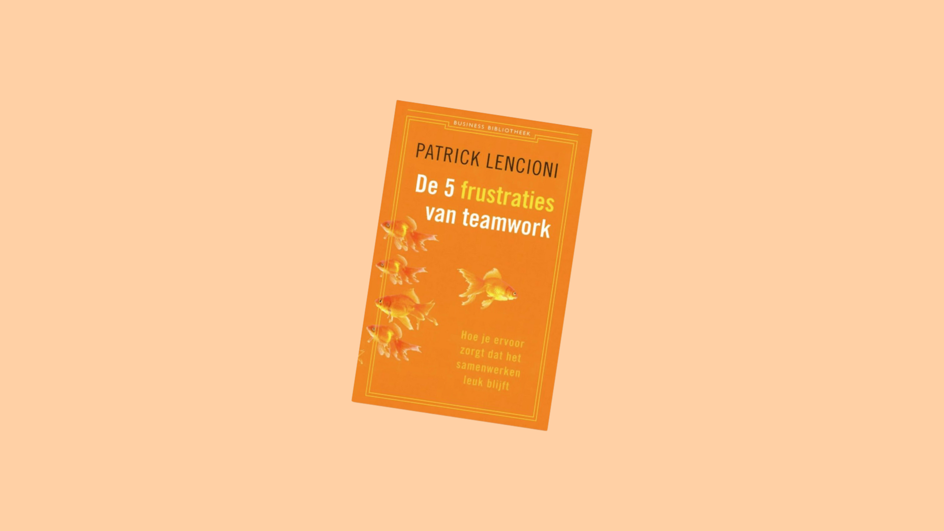 De 5 frustraties van teamwork - New Broom